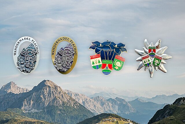 <p>Wandernadeln, die ihr in Flachau erwandern könnt</p>