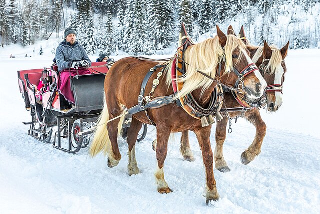 <p>Per Pferdekutsche das winterliche Flachautal erleben.</p>