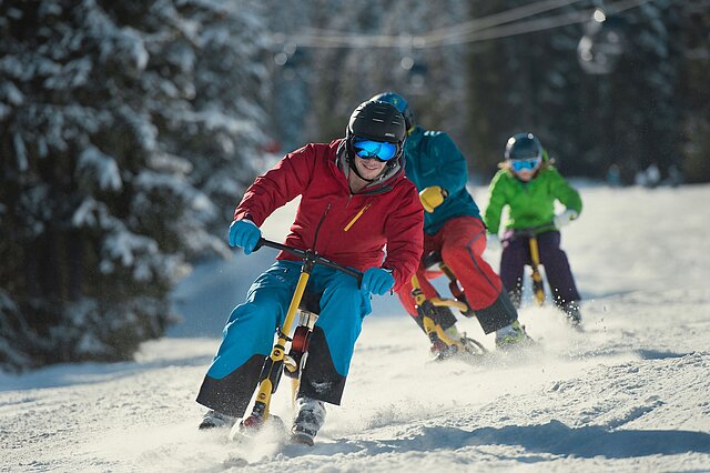 <p>Snowbiken ist eine geniale Alternative für ultimativen Pistenspaß.</p>